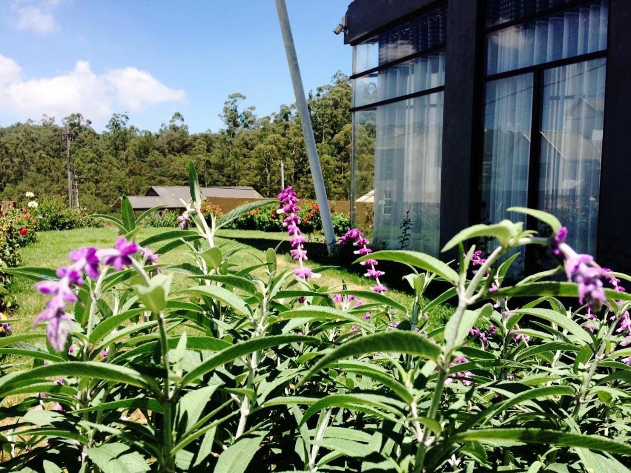 Kingsford Residences Nuwara Eliya Luaran gambar